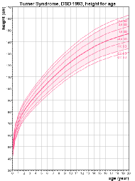 meisjesturnerchart_01.pdf